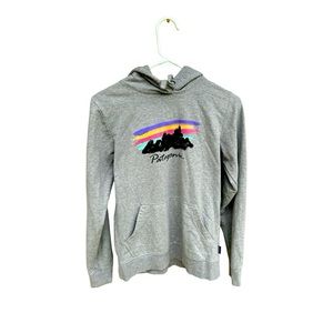 Patagonia grey small hoodie